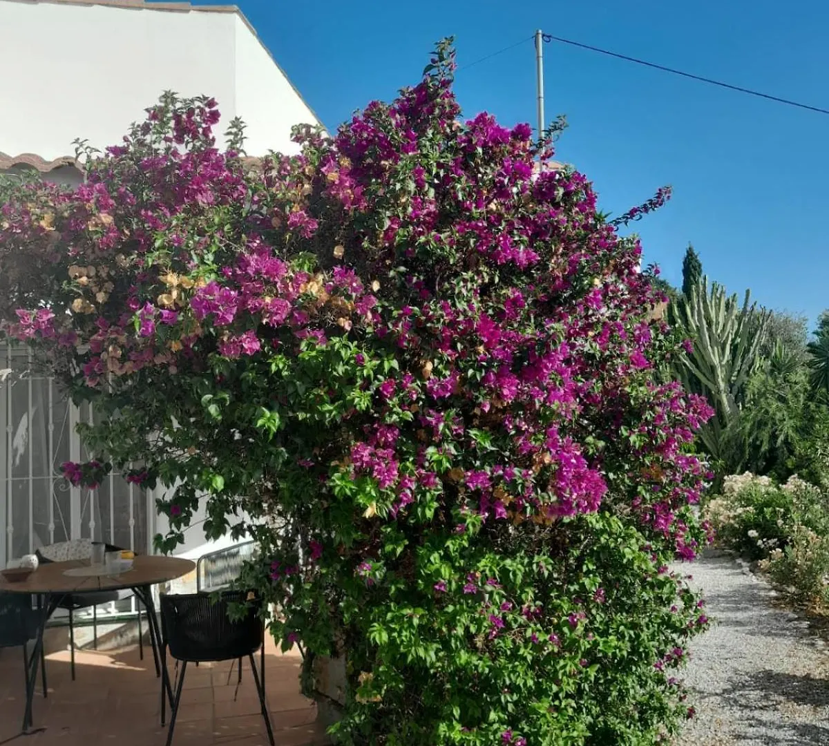 Casa Los Limones Torrox 0*,  Spain
